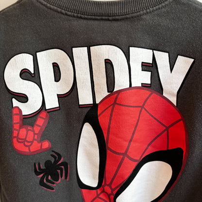 Spider Character Sweatshirt (18-24M)