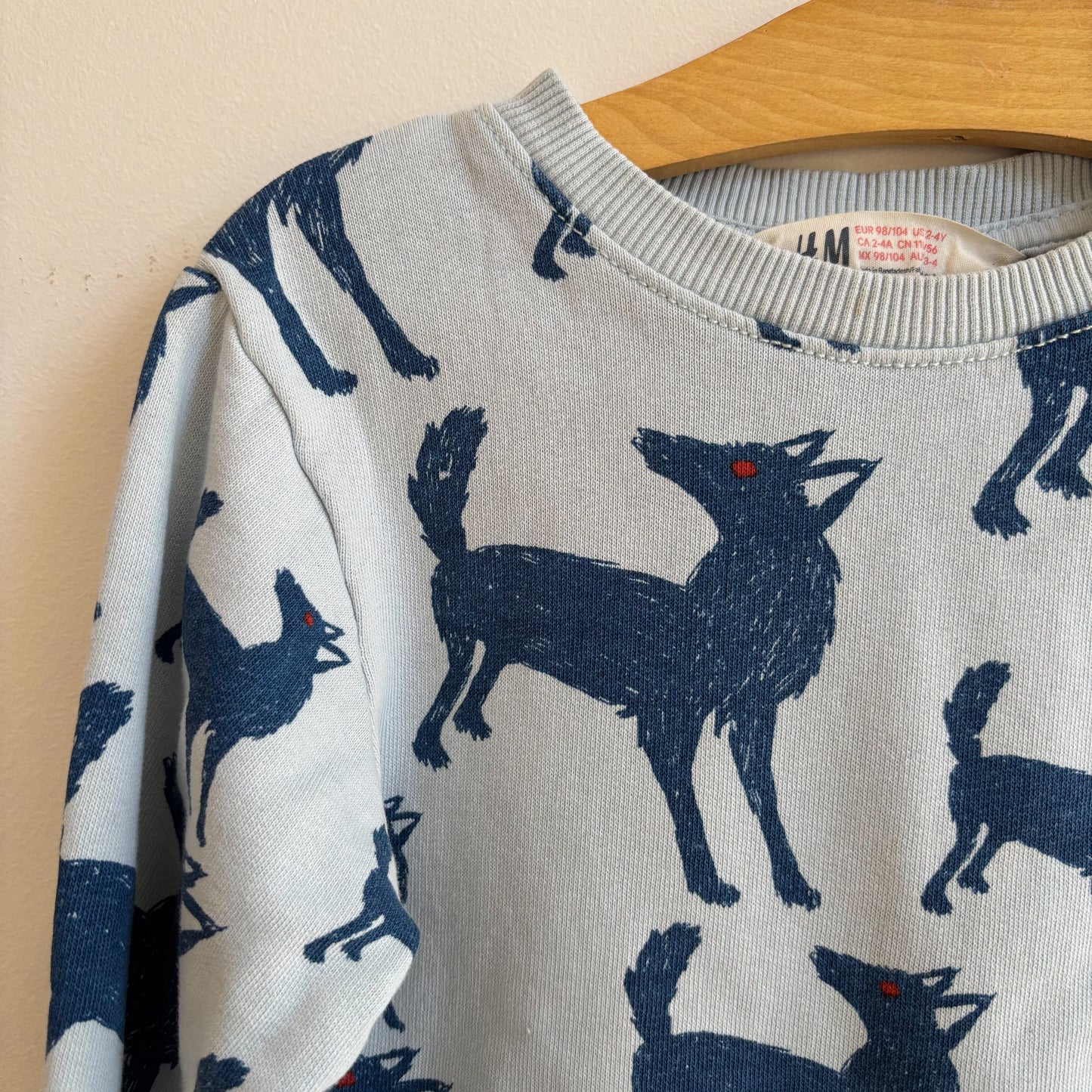 Blue Wolf Sweatshirt (2-4Y)