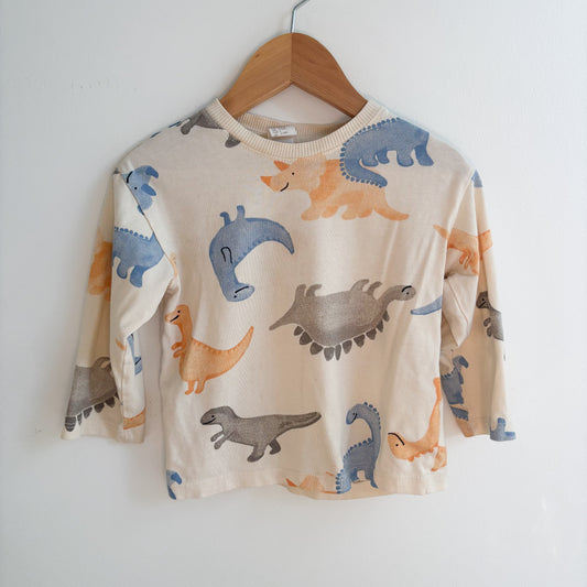 Dino Print Long Sleeve Shirt (9-12M)