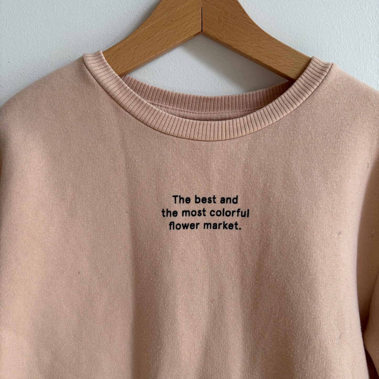 Sweatshirt Dress (5T)