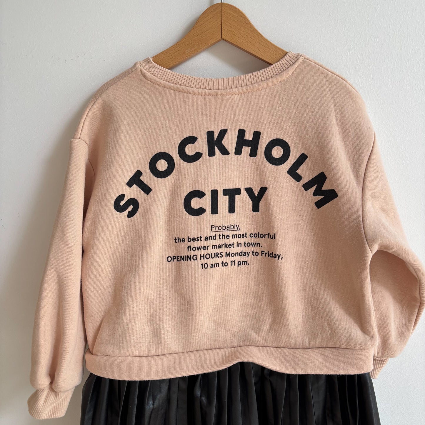 Sweatshirt Dress (5T)