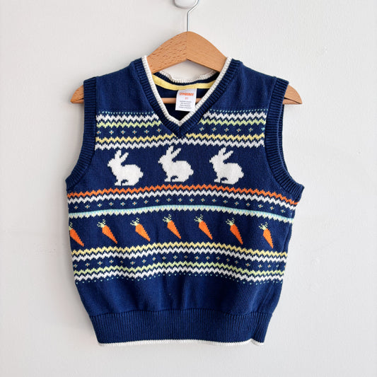 Bunny Themed Vest (3T)