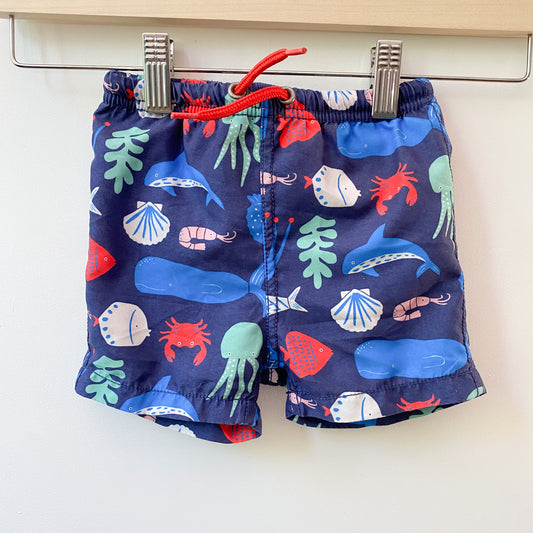 Ocean Creature Swimsuit (6-12M)